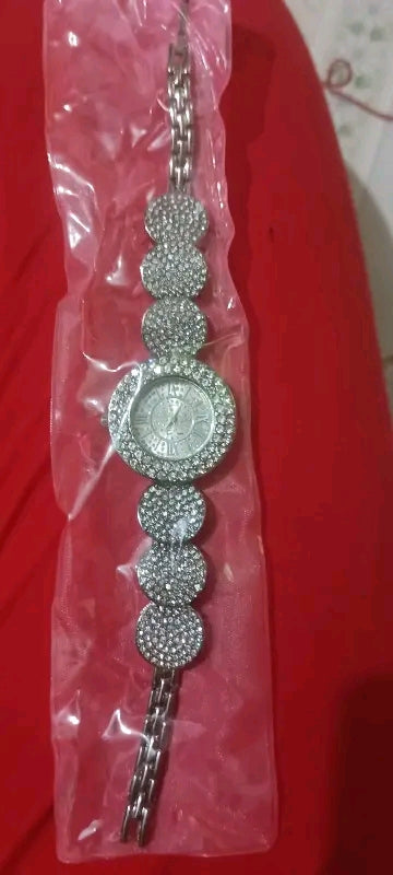 silver Women's Steel Belt Luxury Quartz Watch Ladies Wristwatch